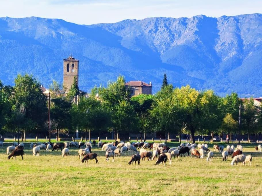 El Escondite De Molina. Valle Del Tietar. La Iglesuela Zewnętrze zdjęcie